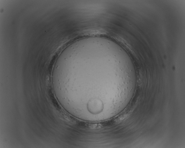 X0000074260355200608250906