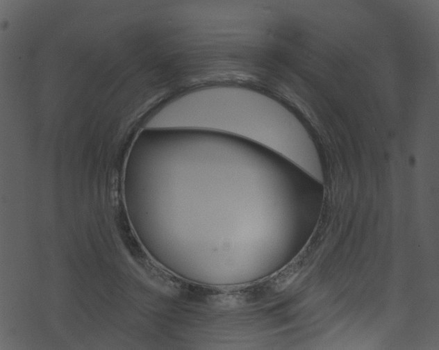 X0000074260356200608250906