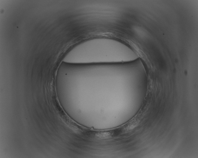 X0000074260357200608250906