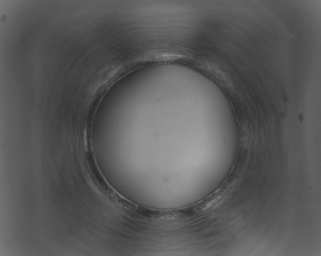 X0000074260358200608250906