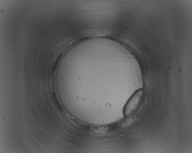 X0000074260359200608250906