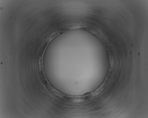 X0000074260360200608250906