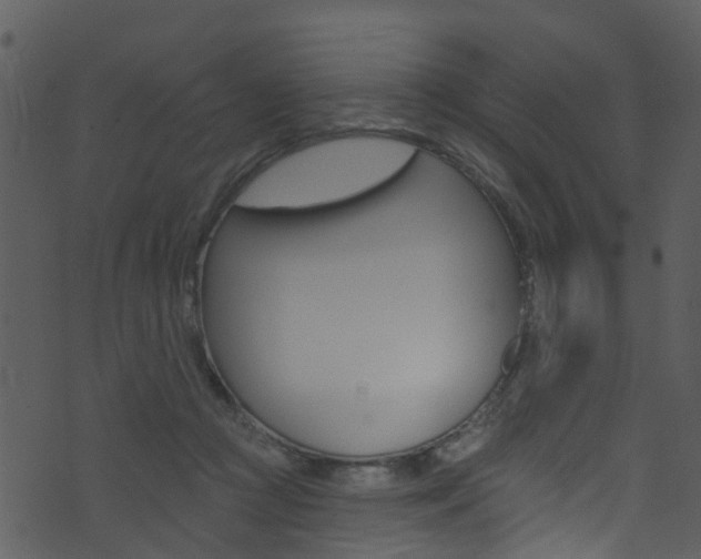 X0000074260361200608250906