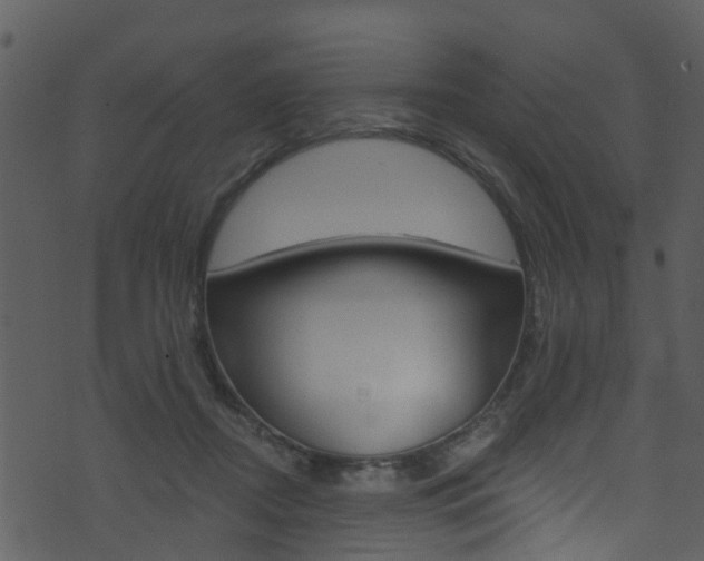 X0000074260362200608250906