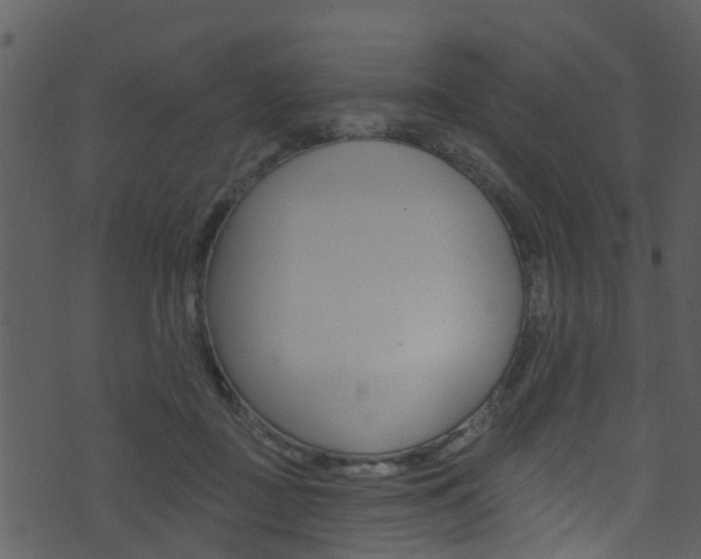 X0000074260363200608250906