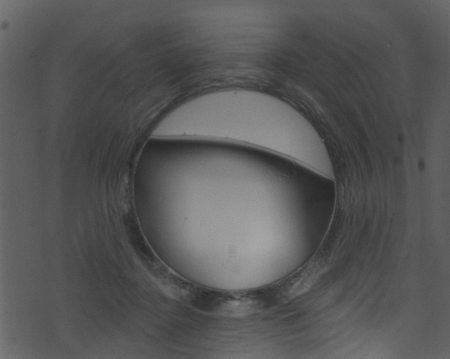 X0000074260364200608250906