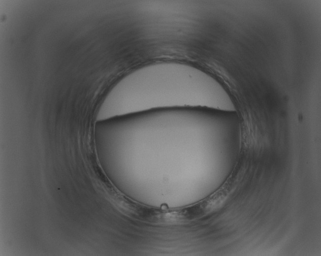 X0000074260365200608250906