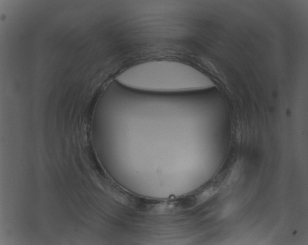 X0000074260366200608250906