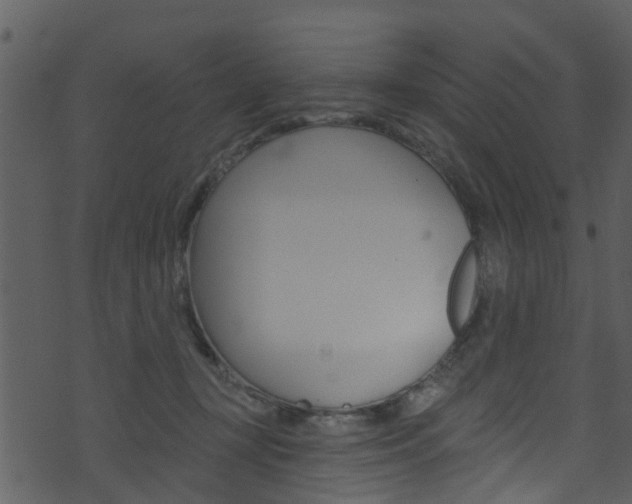 X0000074260367200608250906