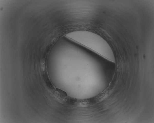 X0000074260368200608250906