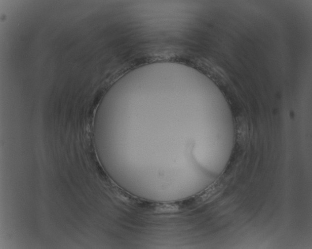 X0000074260369200608250906