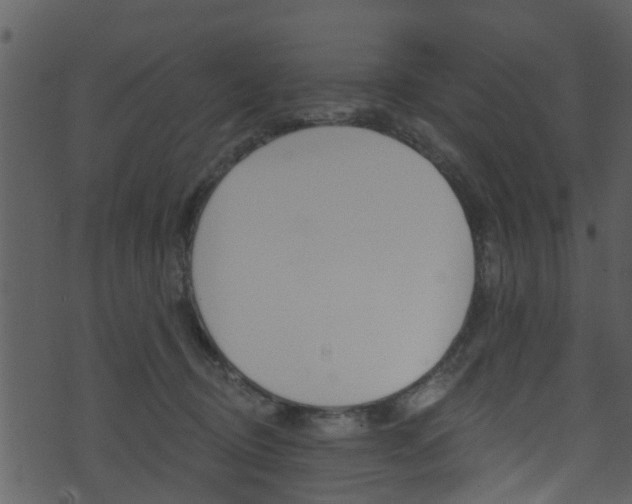 X0000074260370200608250906