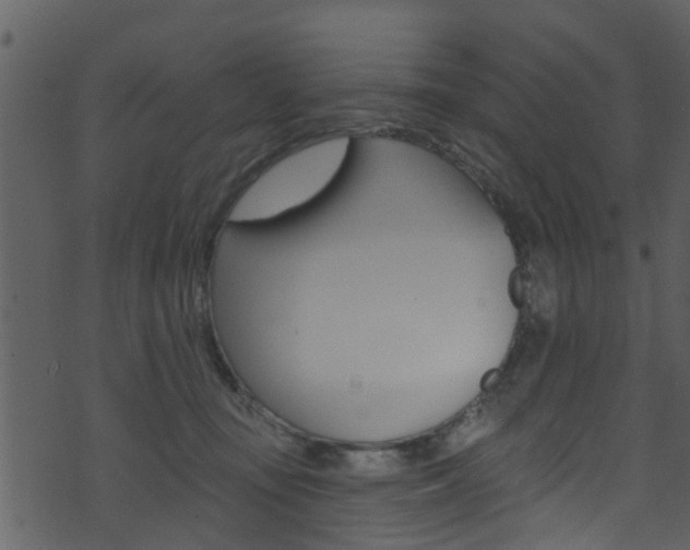 X0000074260371200608250906