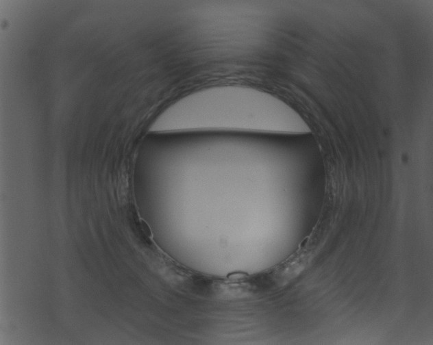 X0000074260372200608250906