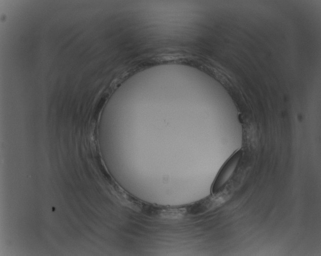 X0000074260373200608250906