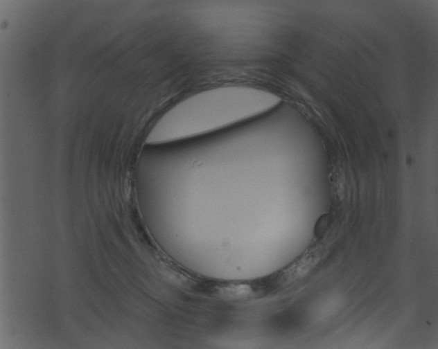 X0000074260374200608250906