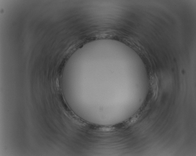 X0000074260375200608250906