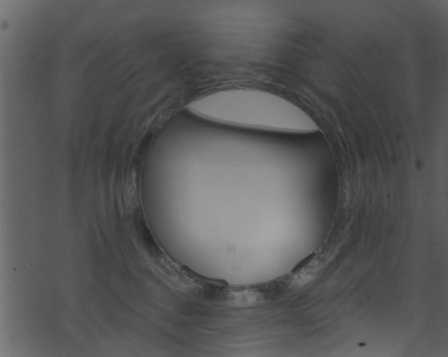 X0000074260376200608250906