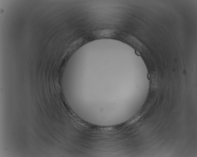 X0000074260377200608250906