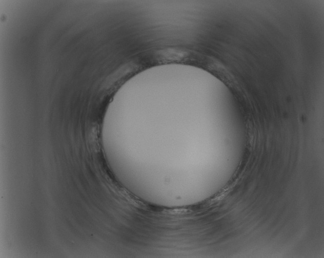 X0000074260378200608250906