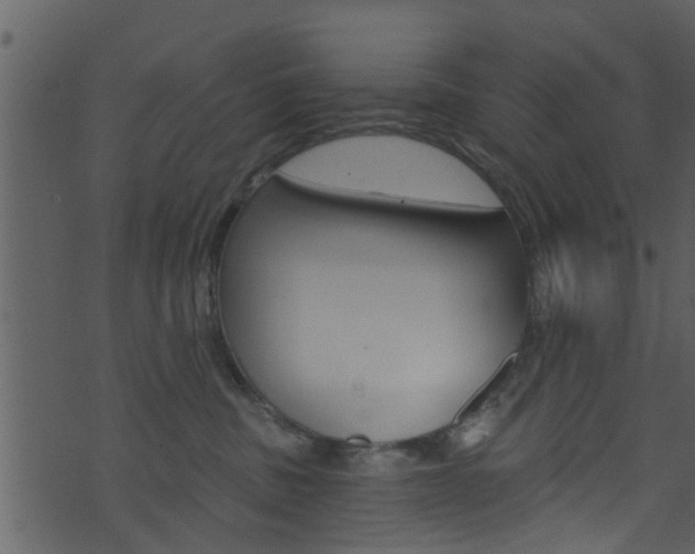 X0000074260379200608250906