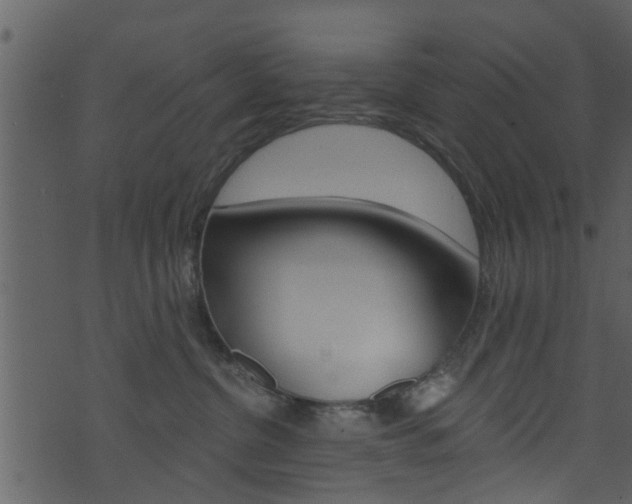 X0000074260380200608250906