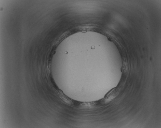 X0000074260381200608250906