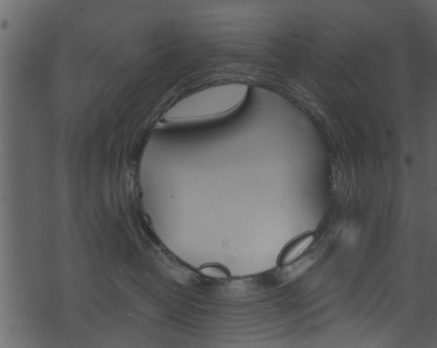 X0000074260382200608250906