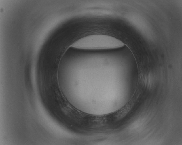 X0000074260383200608250906