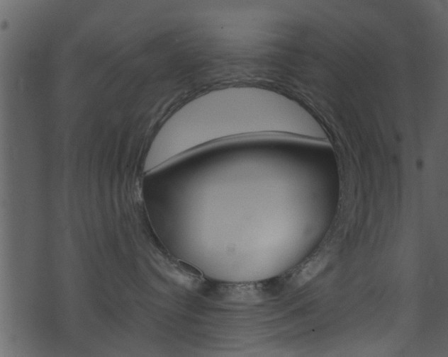 X0000074260384200608250906