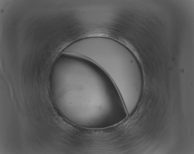 X0000074260385200608250905