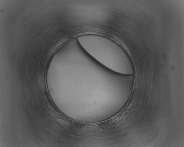 X0000074260386200608250905