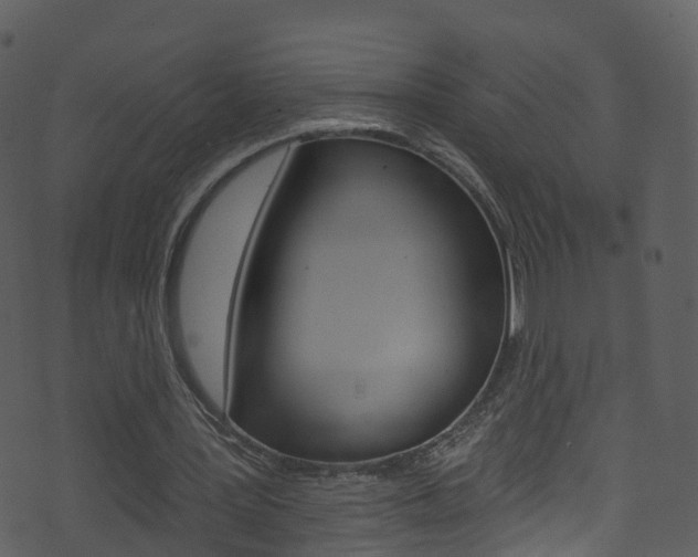 X0000074260387200608250905