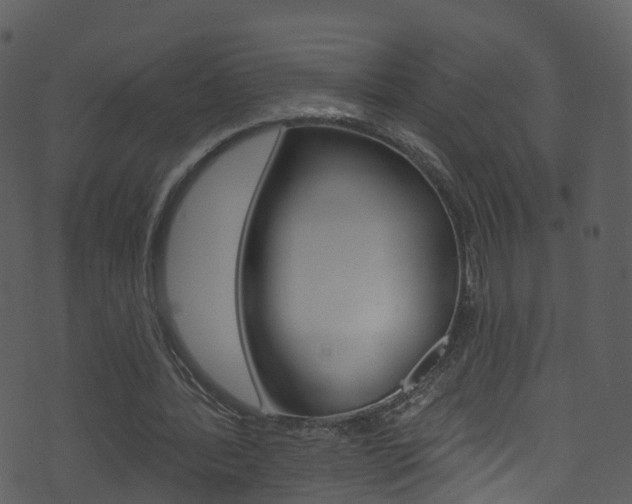 X0000074260388200608250905