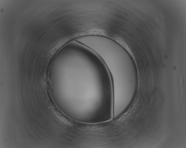 X0000074260389200608250905