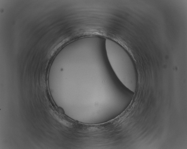 X0000074260390200608250905