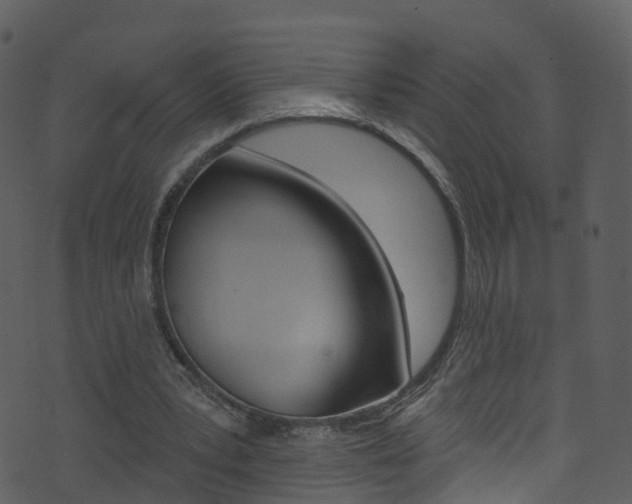 X0000074260391200608250905