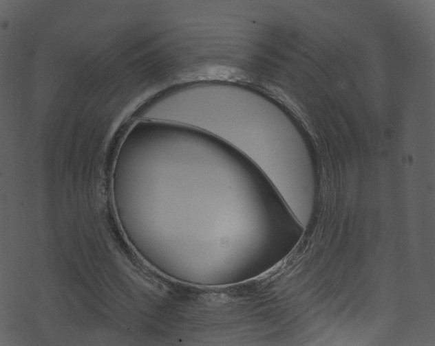 X0000074260392200608250905