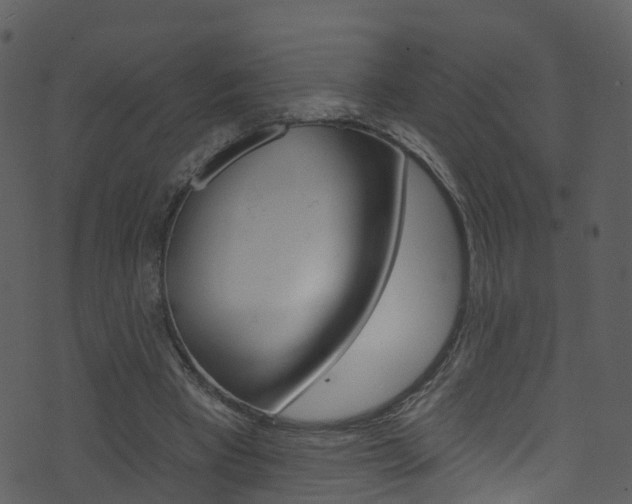 X0000074260393200608250905