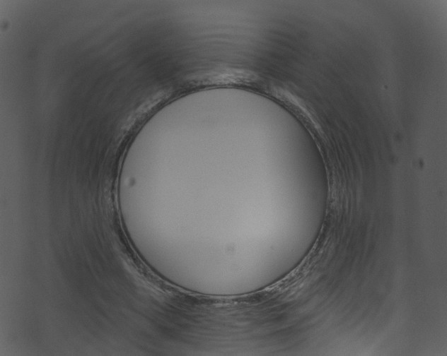 X0000074260394200608250905