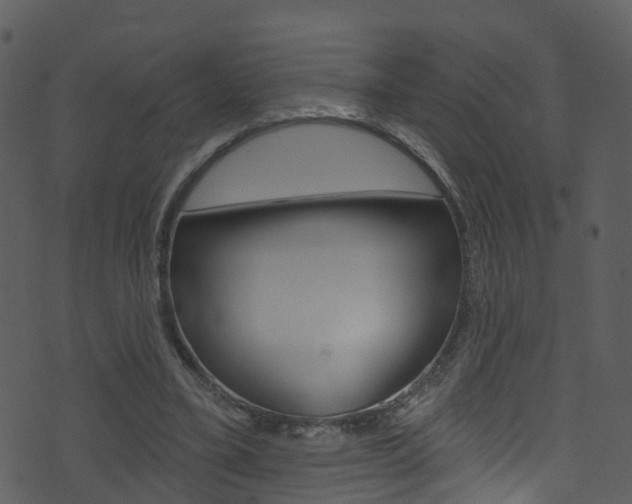 X0000074260395200608250905