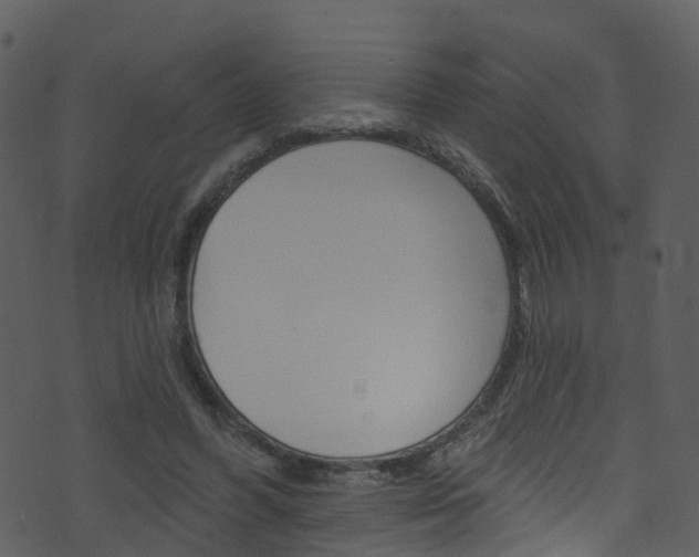 X0000074260396200608250905