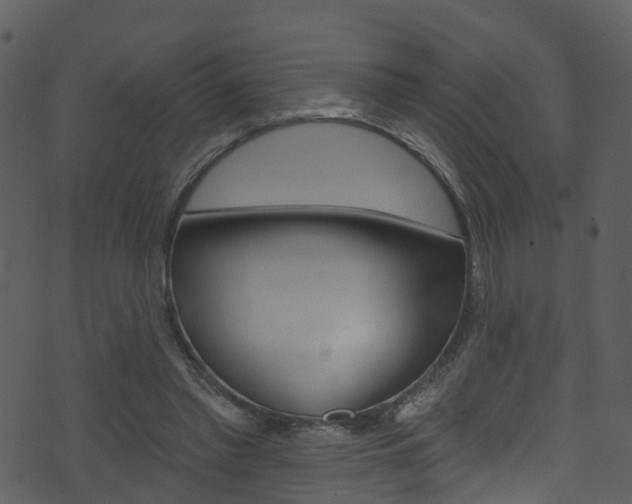 X0000074260397200608250905