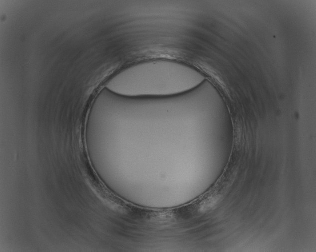 X0000074260398200608250905