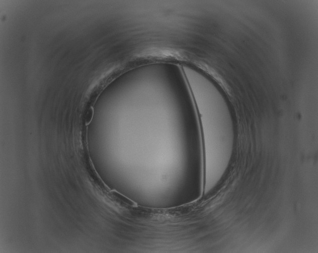 X0000074260399200608250905