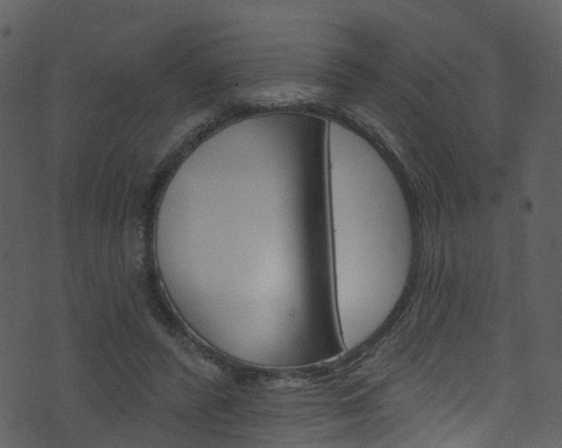 X0000074260400200608250905