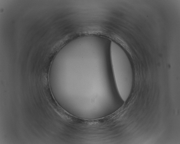 X0000074260401200608250905