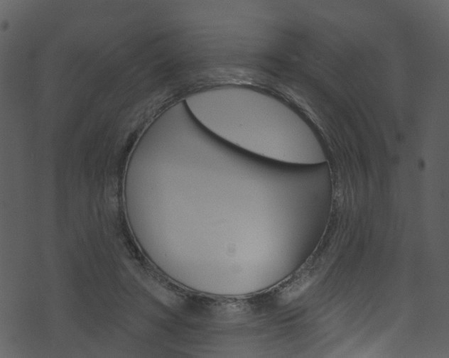 X0000074260402200608250905