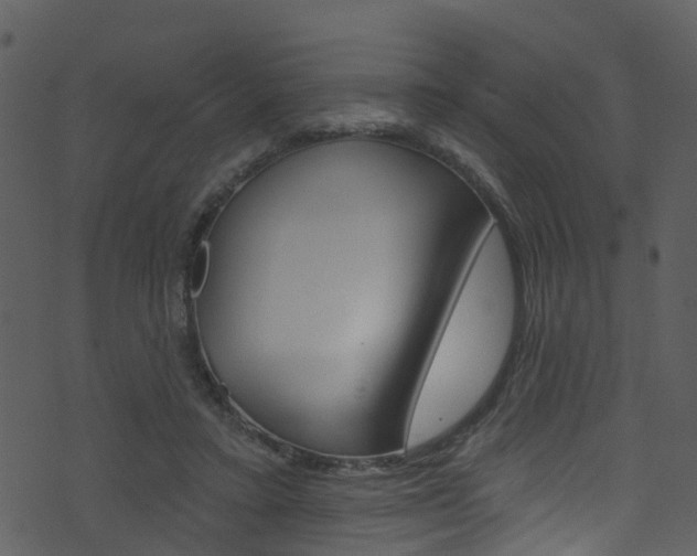 X0000074260403200608250905