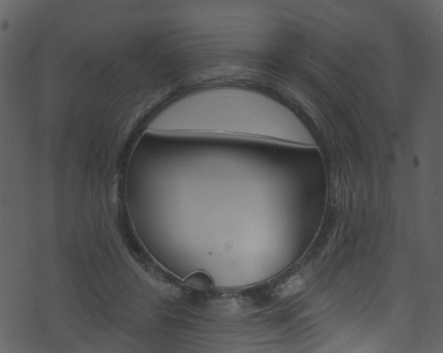 X0000074260404200608250905